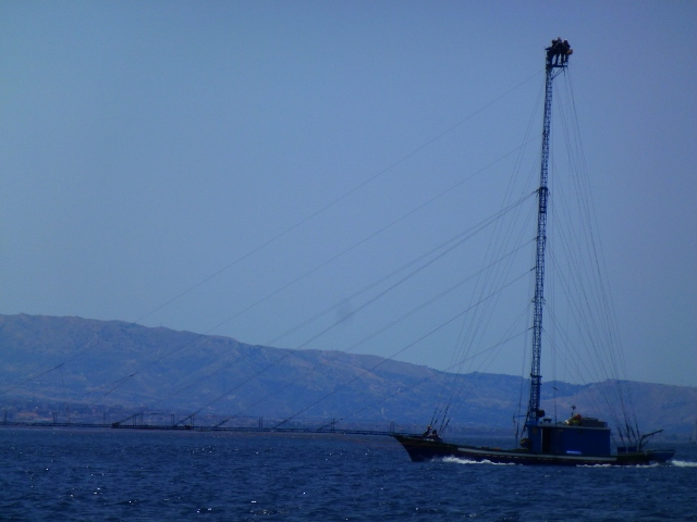 Swordfish fishing - the boat is driven by the skipper at the top of the mast and if they spot a swordfish on the surface the run to the end of the bowsprit arrangement and harpoon the swordfish