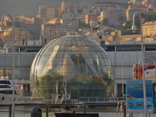 Genoa's Terrarium